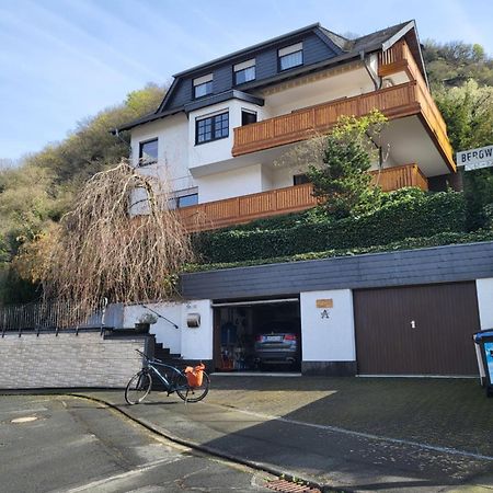 Ferienwohnung Zum Rheinblick Kestert Ngoại thất bức ảnh