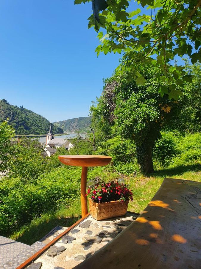 Ferienwohnung Zum Rheinblick Kestert Ngoại thất bức ảnh
