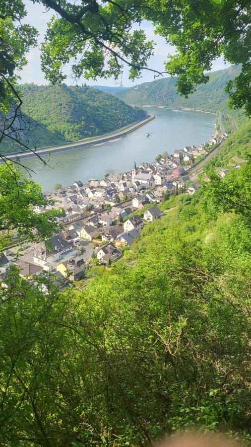 Ferienwohnung Zum Rheinblick Kestert Ngoại thất bức ảnh