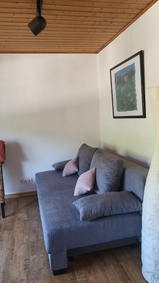 Ferienwohnung Zum Rheinblick Kestert Ngoại thất bức ảnh