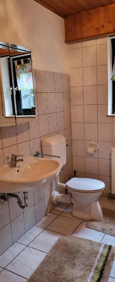 Ferienwohnung Zum Rheinblick Kestert Ngoại thất bức ảnh