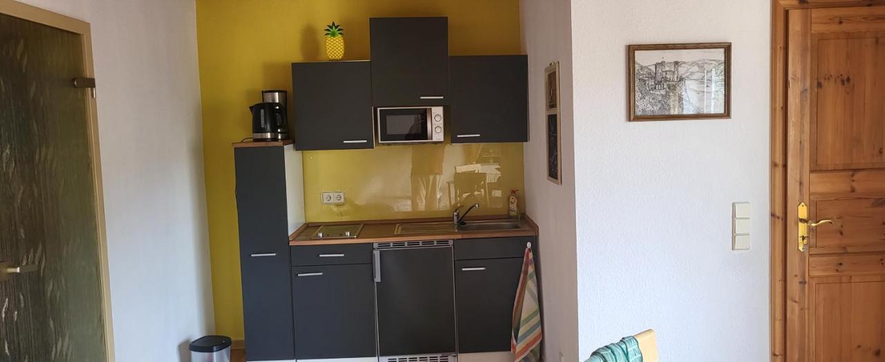 Ferienwohnung Zum Rheinblick Kestert Ngoại thất bức ảnh
