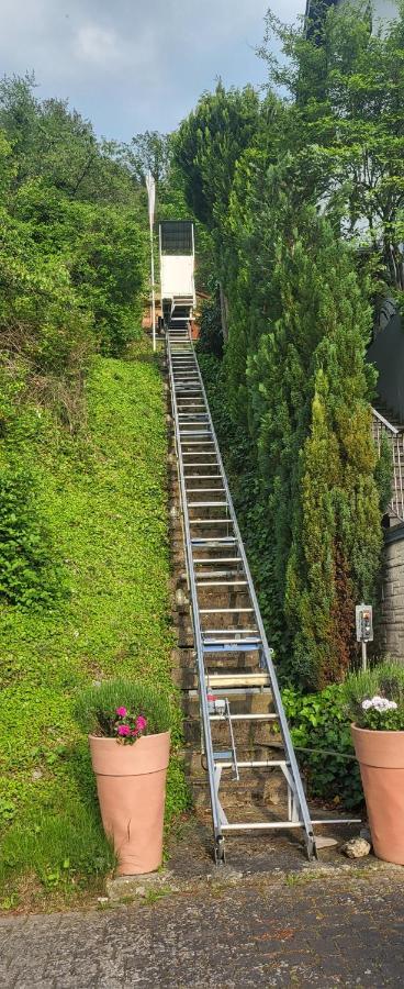 Ferienwohnung Zum Rheinblick Kestert Ngoại thất bức ảnh